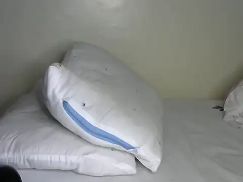 Snapshot of Novah_ chatting on April 2026 01:38:02 AM Novah online show from April 2026 01:38:02 AM