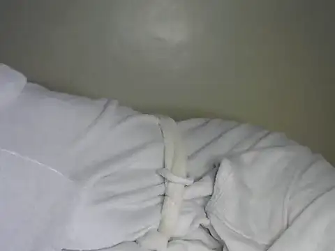 Snapshot of Novah_ chatting on April 2026 01:33:01 AM Novah online show from April 2026 01:33:01 AM