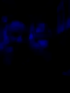 AlphaAlluring69 online show from May 2026 05:46:01 AM