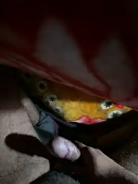 delhiboyz1 online show from January 2026 01:30:01 AM