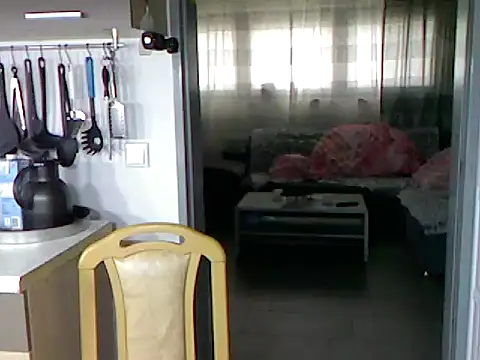 pimmelmann3 online show from November 2025 11:40:02 AM