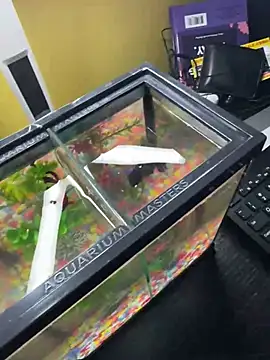 Snapshot of VFuck4U_xxx chatting on March 2025 01:21:01 PM VFuck4U xxx online show from March 2025 01:21:01 PM