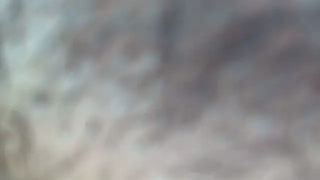 Snapshot of white_sexy_ chatting on November 2025 11:38:02 PM white sexy online show from November 2025 11:38:02 PM