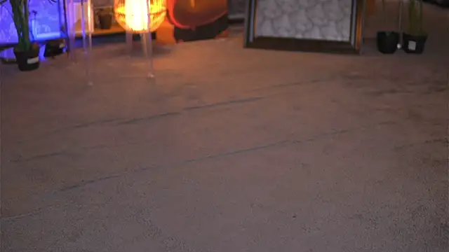 Snapshot of EvaZane chatting on January 2025 03:04:02 PM EvaZane online show from January 2025 03:04:02 PM