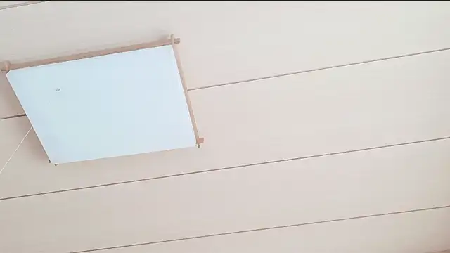 xxArisaxx online show from March 2026 05:42:01 AM