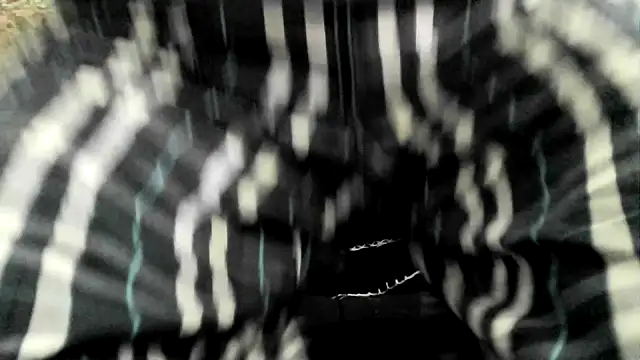 ewuich1 online show from March 2025 11:03:01 AM