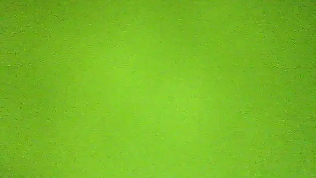 AbbyX online show from November 2025 10:29:01 AM