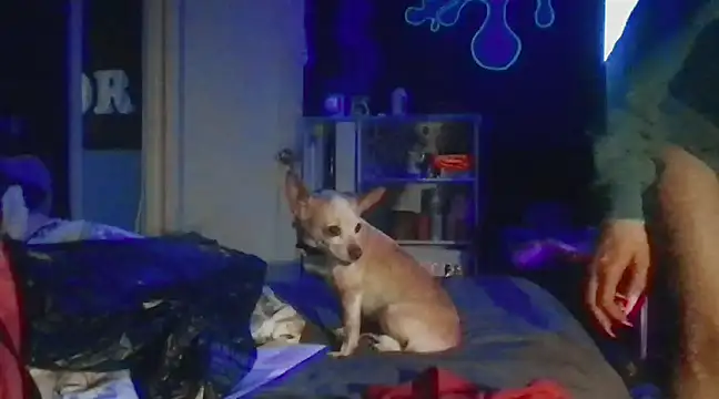Snapshot of watermellonpussy chatting on December 2024 05:55:02 AM watermellonpussy online show from December 2024 05:55:02 AM