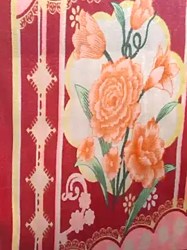 Snapshot of Burhade-- chatting on December 2024 05:12:01 AM Burhade-- online show from December 2024 05:12:01 AM