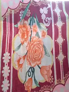 Snapshot of Burhade-- chatting on December 2024 11:48:01 AM Burhade-- online show from December 2024 11:48:01 AM