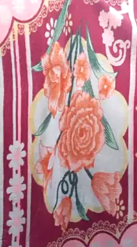 Snapshot of Burhade-- chatting on January 2025 01:49:01 AM Burhade-- online show from January 2025 01:49:01 AM