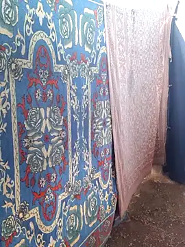 Snapshot of Burhade-- chatting on September 2025 10:29:01 AM Burhade-- online show from September 2025 10:29:01 AM