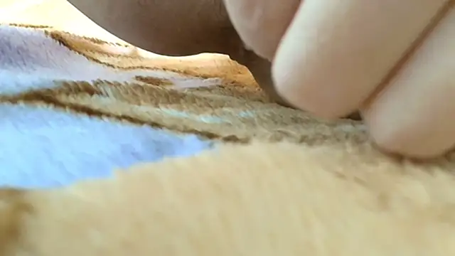 Snapshot of sonyx chatting on October 2025 04:08:01 PM sonyx online show from October 2025 04:08:01 PM