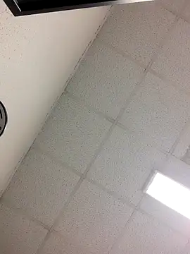 Fred bo online show from October 2025 04:25:02 PM