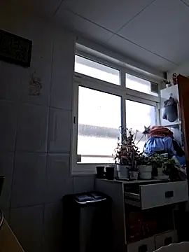 Javier bear online show from November 2025 10:14:02 AM