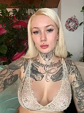 Snapshot of Stella-Kink chatting on December 2024 12:33:02 PM Stella-Kink online show from December 2024 12:33:02 PM