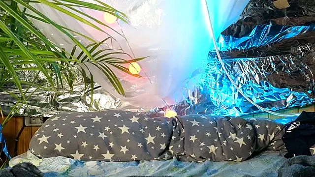 Jony Marta online show from October 2025 09:40:01 AM