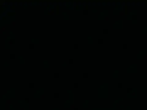 Tigerhill2023 online show from April 2026 07:33:02 AM