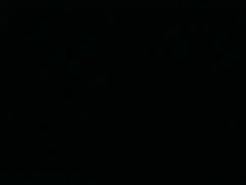 Tigerhill2023 online show from April 2026 01:53:02 PM