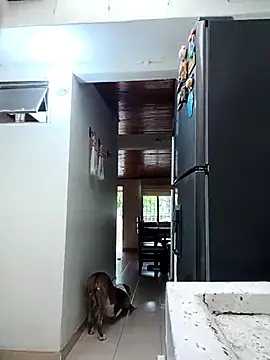 Snapshot of sebasxx97 chatting on February 2026 11:59:01 AM sebasxx97 online show from February 2026 11:59:01 AM