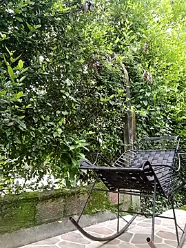 Snapshot of sebasxx97 chatting on February 2026 03:19:02 PM sebasxx97 online show from February 2026 03:19:02 PM