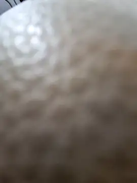 Kamarasa69 online show from December 2025 08:53:02 AM