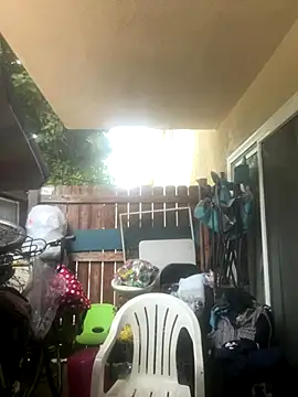 MrDickUdown24 7 online show from October 2025 02:58:02 PM