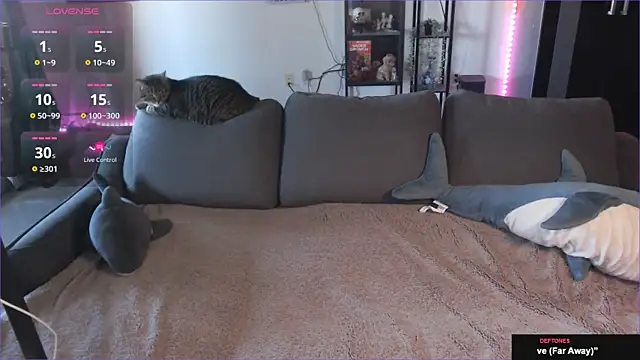 Snapshot of Clairedelilah chatting on January 2025 08:32:01 PM Clairedelilah online show from January 2025 08:32:01 PM