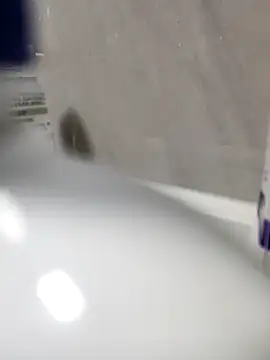 Beijing2000 online show from March 2026 11:32:02 AM