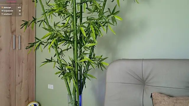 Snapshot of were-Naughty chatting on February 2025 11:15:01 PM were-Naughty online show from February 2025 11:15:01 PM