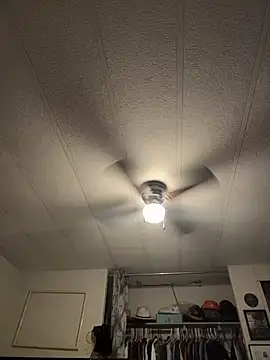 Snapshot of BobbyQ29 chatting on February 2026 03:46:02 AM BobbyQ29 online show from February 2026 03:46:02 AM