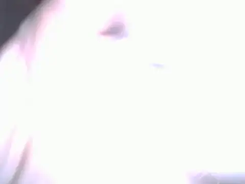 BobbyQ29 online show from April 2026 12:24:01 AM