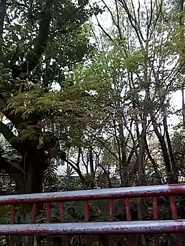 FeloBad online show from May 2026 01:27:01 PM