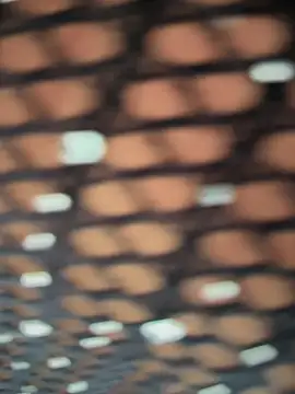 Snapshot of Rose-euphoria chatting on November 2025 01:44:02 PM Rose-euphoria online show from November 2025 01:44:02 PM