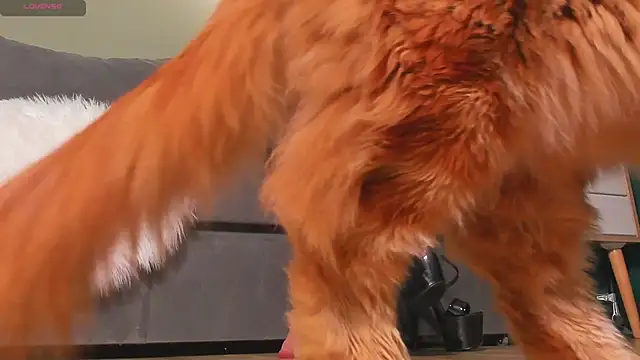 Snapshot of mistresslecter chatting on March 2026 03:54:01 AM mistresslecter online show from March 2026 03:54:01 AM