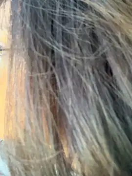 miacanela xo online show from October 2025 10:08:01 PM