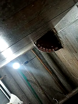 Snapshot of Restrepo300 chatting on October 2025 11:13:02 PM Restrepo300 online show from October 2025 11:13:02 PM