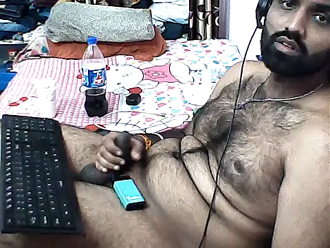 sanik 2428 online show from December 2025 07:09:01 PM