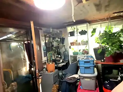 trash4cash online show from January 2026 10:04:02 PM