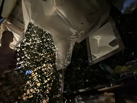 Snapshot of trash4cash chatting on March 2026 12:03:01 AM trash4cash online show from March 2026 12:03:01 AM