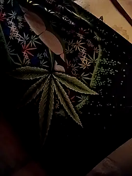 ySqmbVanbe online show from February 2026 04:18:02 AM