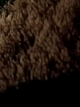 ySqmbVanbe online show from March 2026 01:57:01 AM