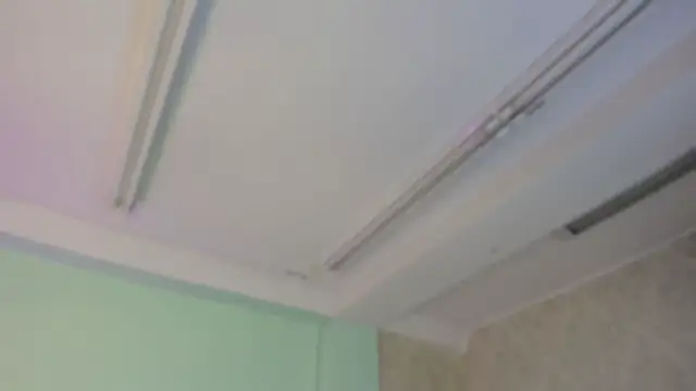 EvaaStevens online show from November 2025 12:16:01 PM