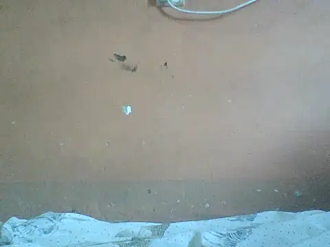 Naivegirrl online show from March 2026 04:46:01 AM