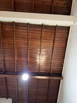 emiss  online show from February 2026 03:18:01 PM