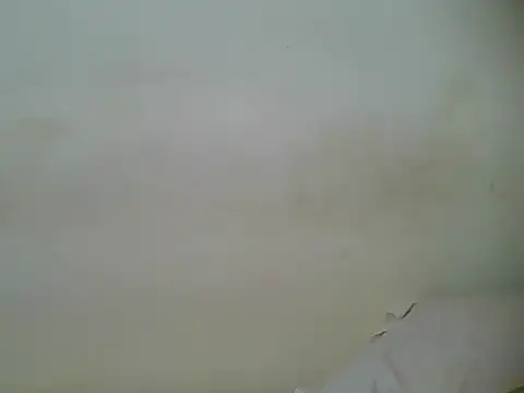 Snapshot of HotJeylee chatting on February 2025 01:25:02 PM HotJeylee online show from February 2025 01:25:02 PM