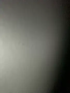 Snapshot of Leyna_liu chatting on February 2025 08:46:01 AM Leyna liu online show from February 2025 08:46:01 AM