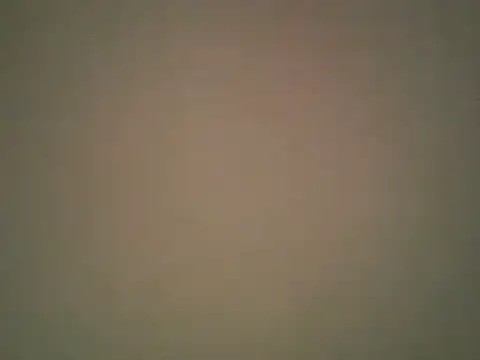 lovense test04 online show from October 2025 02:34:01 AM