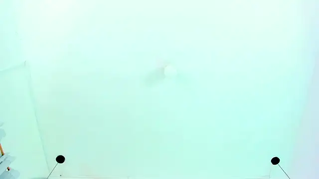 Snapshot of Emily_Gil1 chatting on January 2025 01:53:02 PM Emily Gil1 online show from January 2025 01:53:02 PM