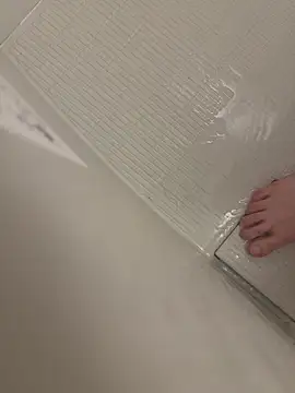 shiro 3 online show from February 2026 12:46:02 PM